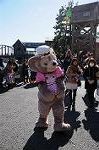 Dcim8791/DSC_8324