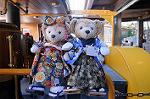 Dcim8792/DSC_8386