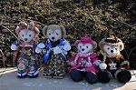 Dcim8793/DSC_8532
