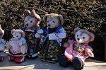 Dcim8793/DSC_8543