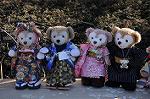 Dcim8793/DSC_8544