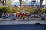 Dcim8793/DSC_8570