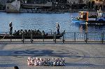 Dcim8793/DSC_8623