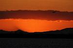 Dcim8794/DSC_8725