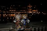 Dcim8795/DSC_8831
