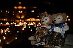 Dcim8795/DSC_8843