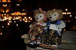 Dcim8795/DSC_8846