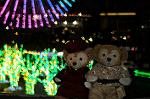 Dcim8804/DSC_0035