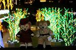 Dcim8804/DSC_0047
