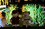Dcim8804/DSC_0048