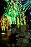 Dcim8804/DSC_0059