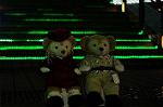 Dcim8804/DSC_0065
