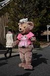Dcim8805/DSC_0229