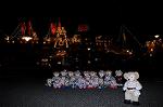 Dcim8808/DSC_0565