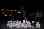Dcim8808/DSC_0586