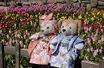 Dcim8812/DSC_0965