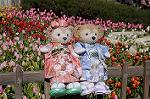 Dcim8812/DSC_0970