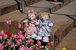 Dcim8812/DSC_0973