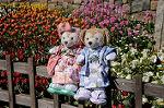 Dcim8812/DSC_0982