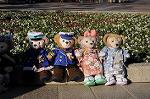 Dcim8814/DSC_1304