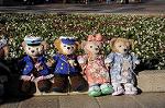 Dcim8814/DSC_1307