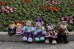 Dcim8821/DSC_2184