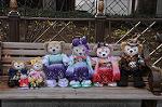 Dcim8821/DSC_2250