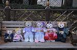 Dcim8822/DSC_2274