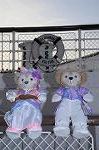 Dcim8822/DSC_2309