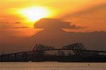 Dcim8822/DSC_2335