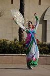 Dcim8831/DSC_3326