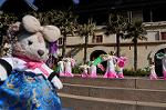 Dcim8832/DSC_3509