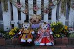 Dcim8841/DSC_4674