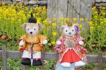 Dcim8844/DSC_5144