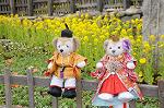Dcim8844/DSC_5145