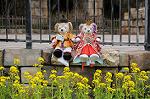 Dcim8844/DSC_5149
