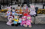 Dcim8846/DSC_5443