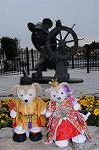 Dcim8847/DSC_5528