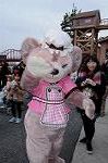 Dcim8847/DSC_5553