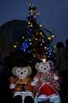 Dcim8849/DSC_5740