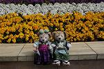 Dcim8855/DSC_6474