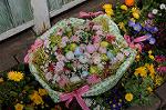 Dcim8856/DSC_6620