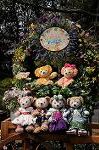 Dcim8856/DSC_6627
