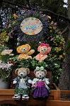 Dcim8856/DSC_6637