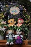 Dcim8856/DSC_6638
