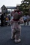 Dcim8858/DSC_6902