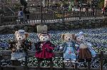 Dcim8859/DSC_7004