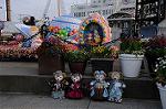 Dcim8859/DSC_7082
