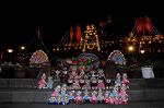 Dcim8861/DSC_7264
