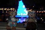 Dcim8862/DSC_7408